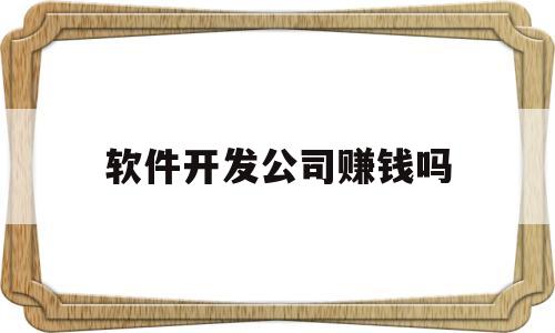 软件开发公司赚钱吗(软件开发公司一般薪水多少)