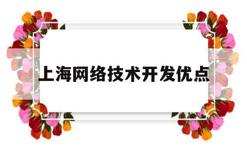 上海网络技术开发优点(网络技术开发包括哪些内容)