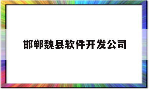 关于邯郸魏县软件开发公司的信息