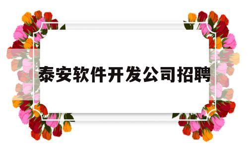 泰安软件开发公司招聘(泰安软件开发公司招聘信息)