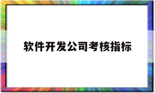 软件开发公司考核指标(软件开发公司考核指标有哪些)