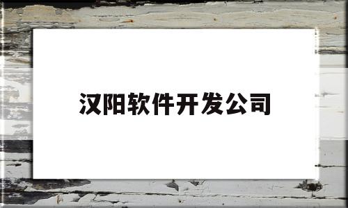 汉阳软件开发公司(汉阳软件开发公司怎么样)