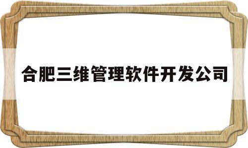 合肥三维管理软件开发公司(合肥三维管理软件开发公司招聘)