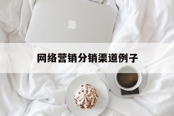 网络营销分销渠道例子(网络营销渠道的分销策略)