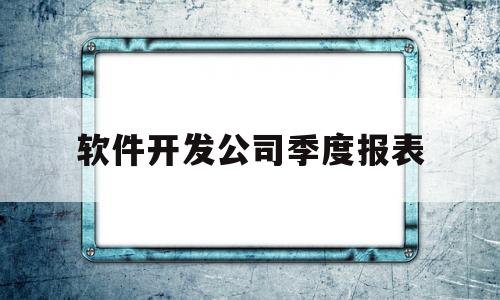 软件开发公司季度报表(软件开发公司季度报表怎么写)