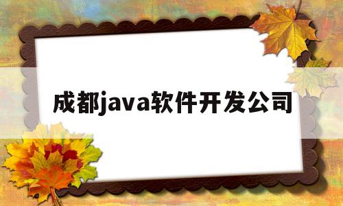 成都java软件开发公司(成都java软件开发公司排名)