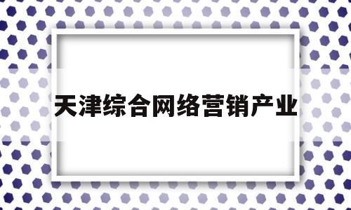 天津综合网络营销产业(天津综合网络营销产业园)