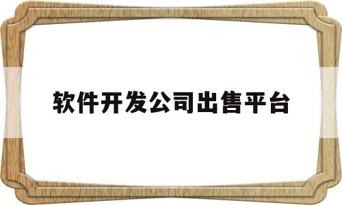 软件开发公司出售平台(软件开发交易平台有哪些)