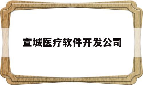 宣城医疗软件开发公司(宣城医疗软件开发公司招聘)