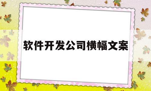 软件开发公司横幅文案(软件开发公司的组织架构介绍)