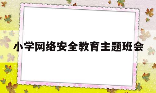 小学网络安全教育主题班会(小学网络安全教育主题班会PPT免费)