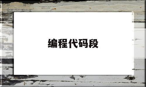 编程代码段(编程代码示例)