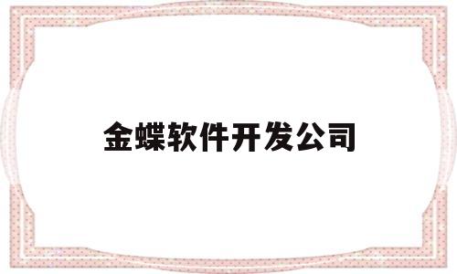 金蝶软件开发公司(金蝶软件开发怎么样)