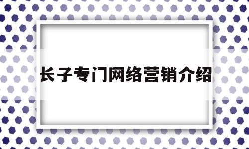 关于长子专门网络营销介绍的信息