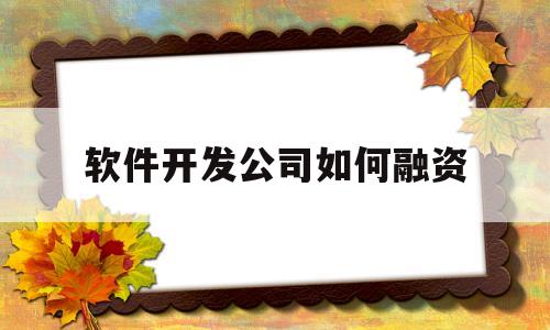 软件开发公司如何融资(软件企业融资的渠道有哪些)