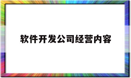 软件开发公司经营内容(软件开发公司经营内容是什么)