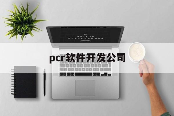 pcr软件开发公司(pcr软件开发公司哪家好)