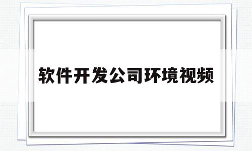 软件开发公司环境视频(软件开发公司环境视频怎么做)