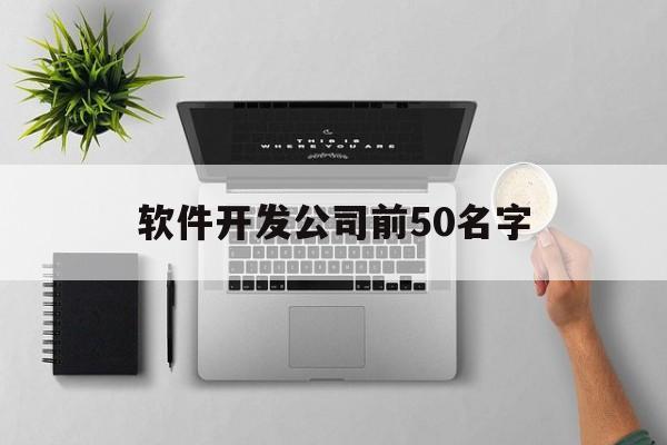 软件开发公司前50名字(软件开发公司前50名字是什么)