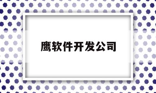 鹰软件开发公司(美国鹰图软件公司)