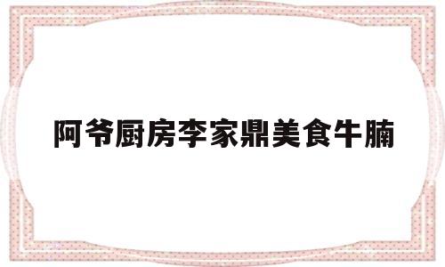 阿爷厨房李家鼎美食牛腩的简单介绍