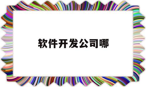 软件开发公司哪(软件开发公司哪个好)