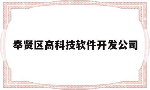 奉贤区高科技软件开发公司(奉贤区高科技软件开发公司地址)