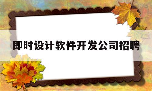 即时设计软件开发公司招聘(即时设计软件开发公司招聘要求)