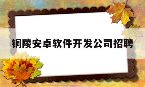 铜陵安卓软件开发公司招聘(android平台软件开发招聘)