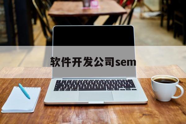 软件开发公司sem(软件开发公司的组织架构)