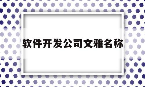 软件开发公司文雅名称(软件开发公司文雅名称有哪些)