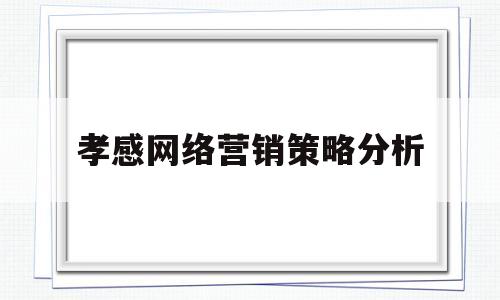 孝感网络营销策略分析(网络营销方案3000字)