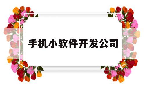 手机小软件开发公司(手机软件开发公司简介)