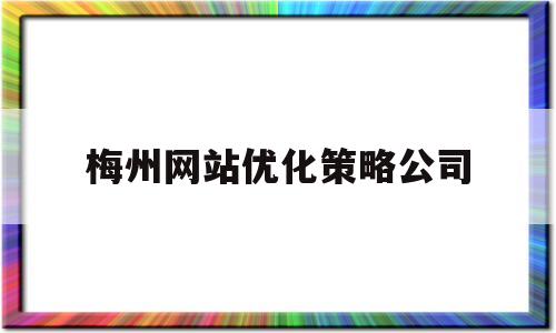 梅州网站优化策略公司(广州网站优化公司如何)