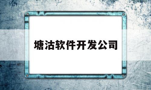 塘沽软件开发公司(天津市软件公司)