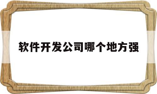 软件开发公司哪个地方强(软件 开发 公司)