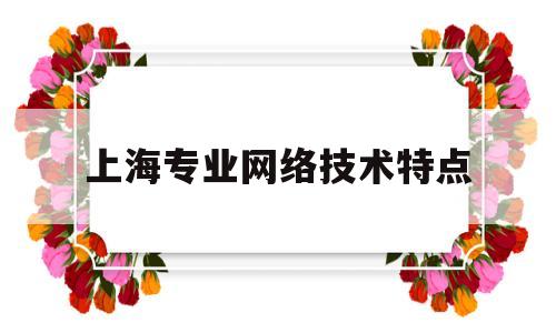 上海专业网络技术特点(上海网络技术有限公司是什么公司)