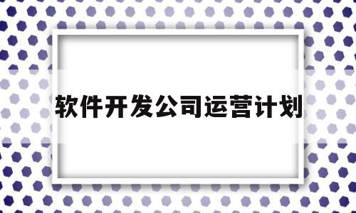 软件开发公司运营计划(软件开发公司的运营)