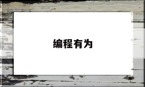 编程有为(编程中的)