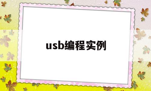 usb编程实例(usb编程器使用教程)