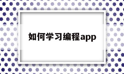 如何学习编程app(怎样学编程软件)