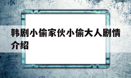 韩剧小偷家伙小偷大人剧情介绍(韩剧小偷家伙,小偷大人)