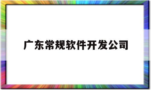 广东常规软件开发公司(广州的软件开发公司)