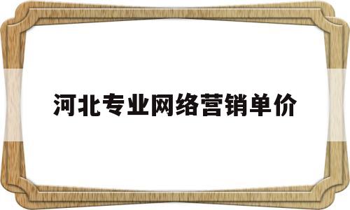 河北专业网络营销单价(河北省网络营销公司)