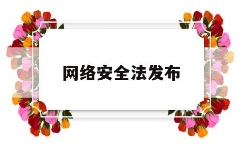 网络安全法发布(网络安全法发布实施)