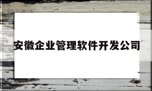 安徽企业管理软件开发公司(安徽软件开发公司排名)