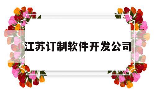 江苏订制软件开发公司(江苏软件开发公司排名)