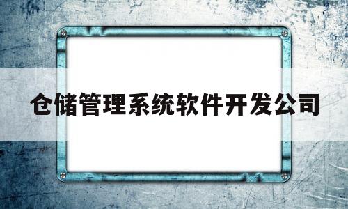 仓储管理系统软件开发公司(仓储系统软件有哪些)