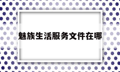 魅族生活服务文件在哪(魅族服务有什么用)