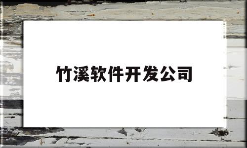 竹溪软件开发公司(竹溪项目)